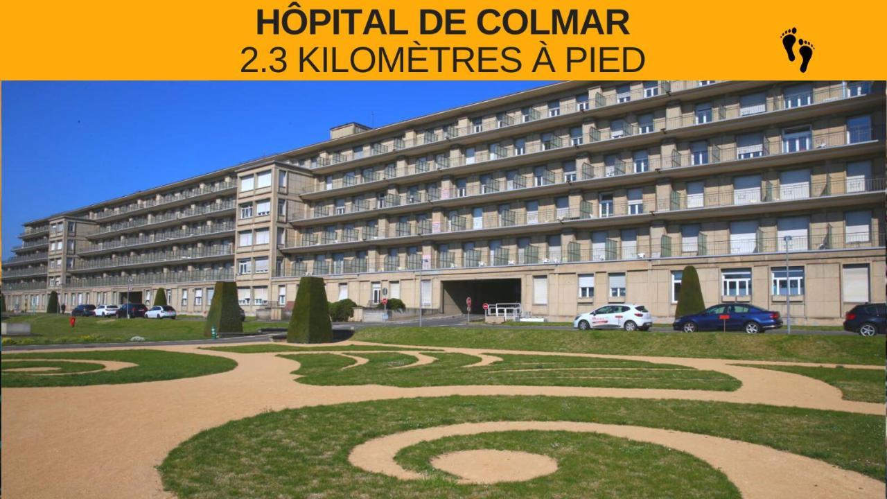 Colmar - Le Nichoir - Centre Historique - Parking Gratuit - Box Velo & Poussette Appartement Buitenkant foto