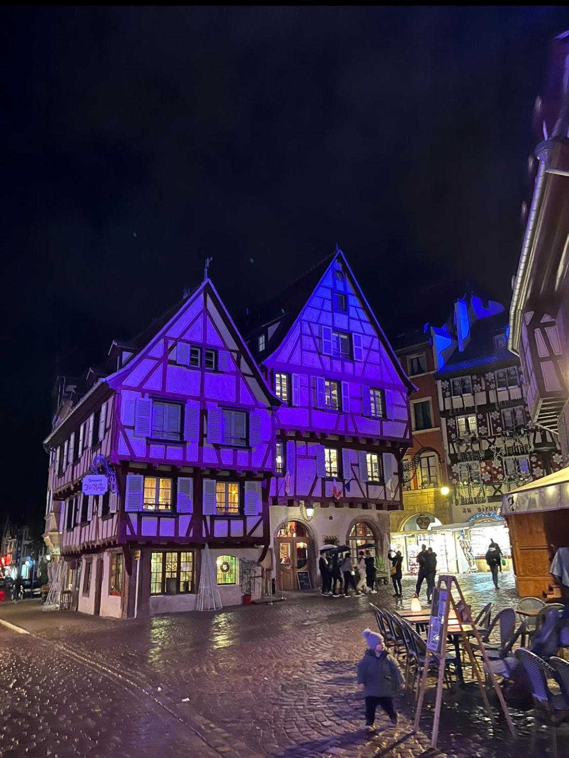Colmar - Le Nichoir - Centre Historique - Parking Gratuit - Box Velo & Poussette Appartement Buitenkant foto